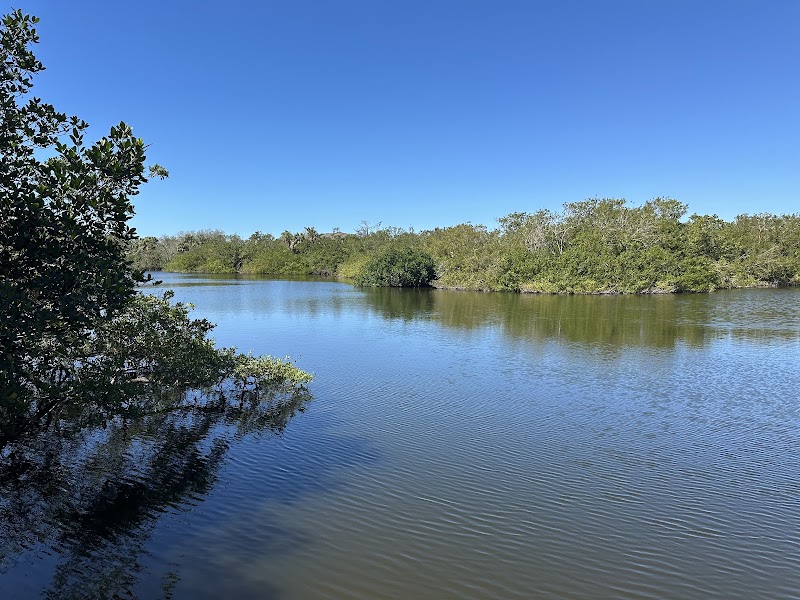 Manatee Cove