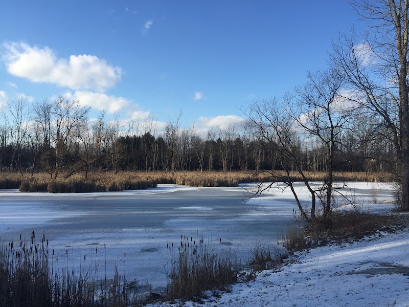 David A. Dimeo Memorial Labyrinth