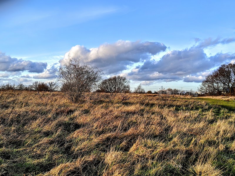 Tylers Common
