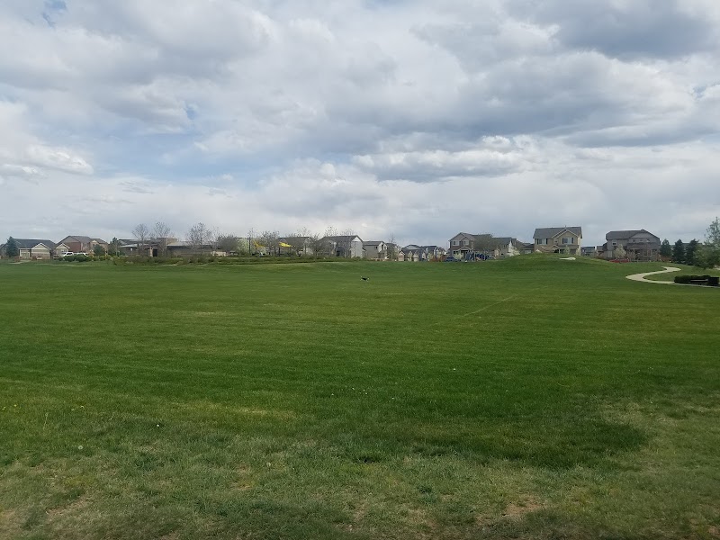 The Grove Neighborhood Playground