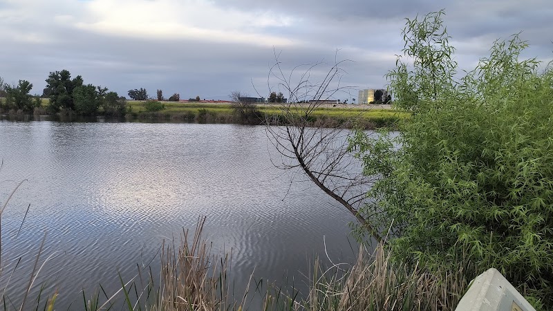 South Observation Deck