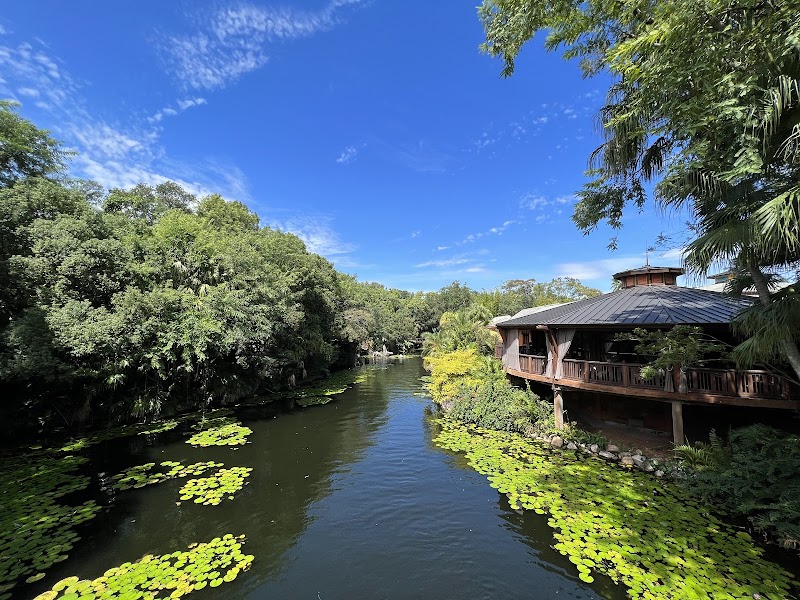 Wilderness Explorers