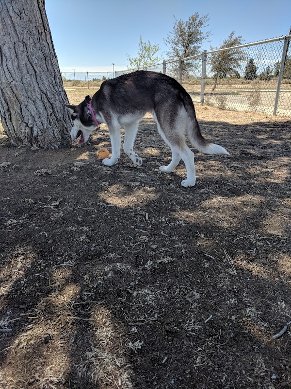 Edwards Bark Park Dog Park
