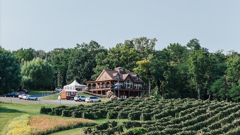 Vineyard View Winery