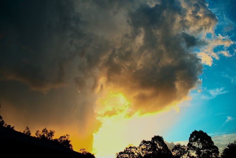 Dyson Avenue Park no 50