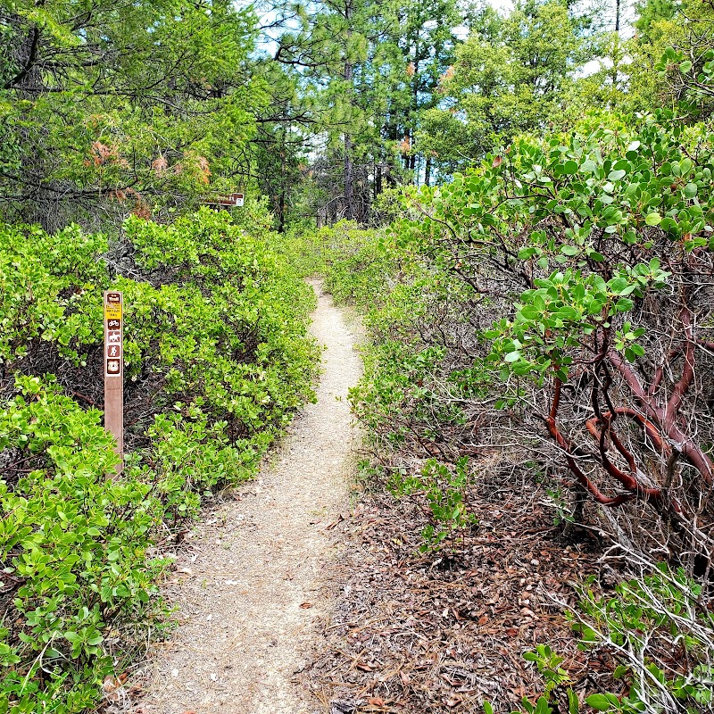 Mule Creek / Baldy Peak Trailhead