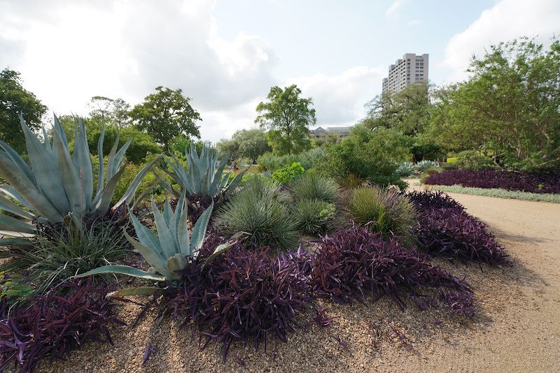 McGovern Garden Falls