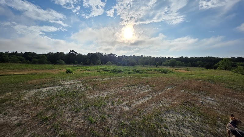 Noquochoke Wildlife Management Area