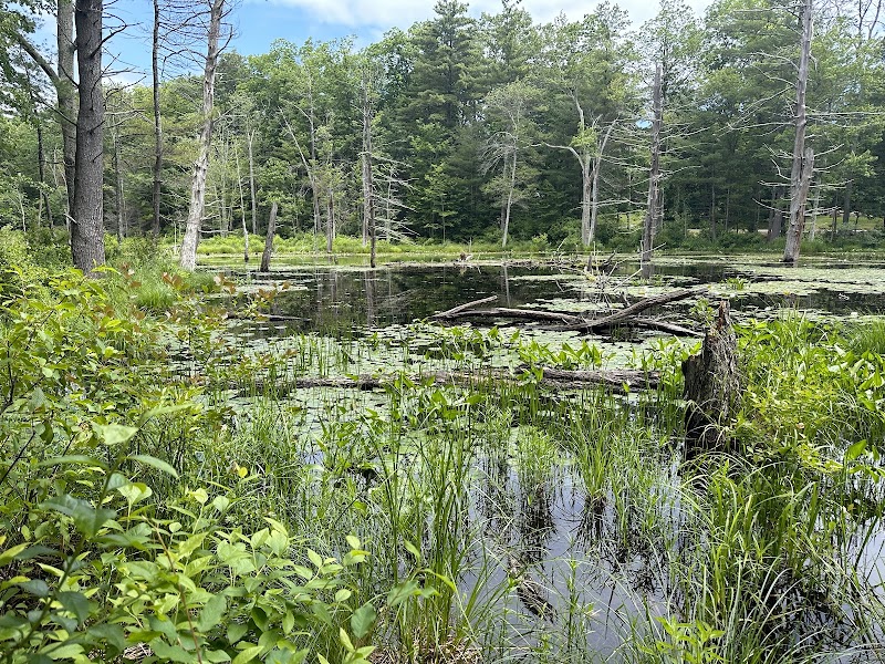 Burrows-Brookside Sanctuary