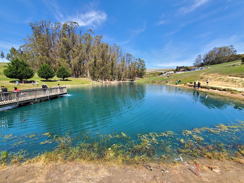 Hagemann Ranch Trout Fishing