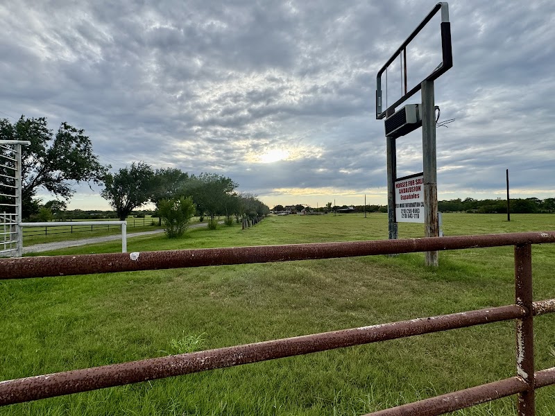 Caballos Españoles Plaza Santa Maria
