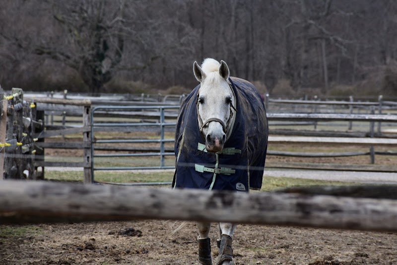 Caumsett State Historic Park Preserve