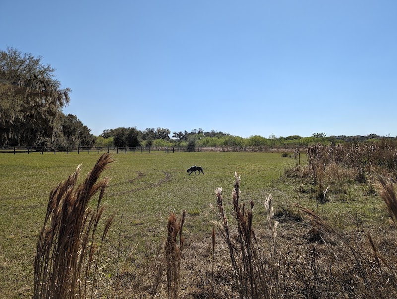 Johns Lake Conservation Area