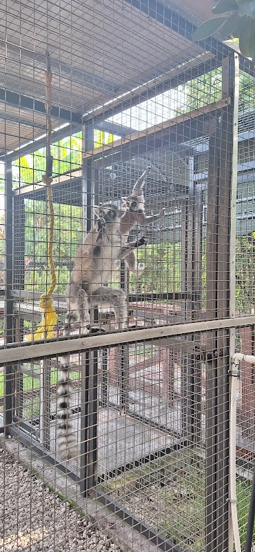 Ebenezer Family Farm