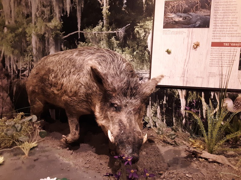 Osceola County Welcome Center and History Museum