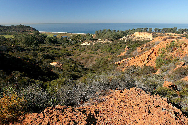Torrey Pines State Natural Reserve Extension