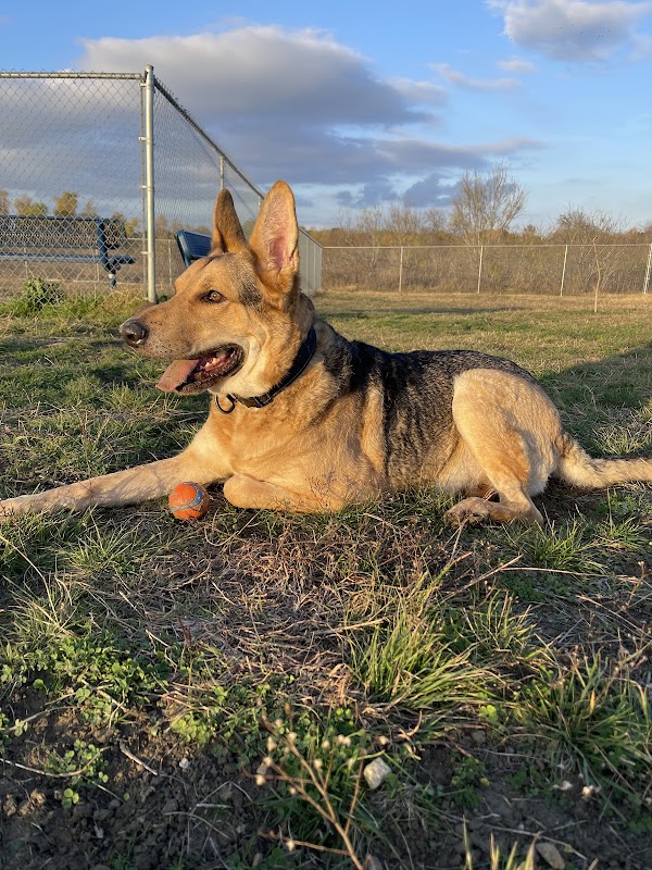 Harris Branch Dog Park