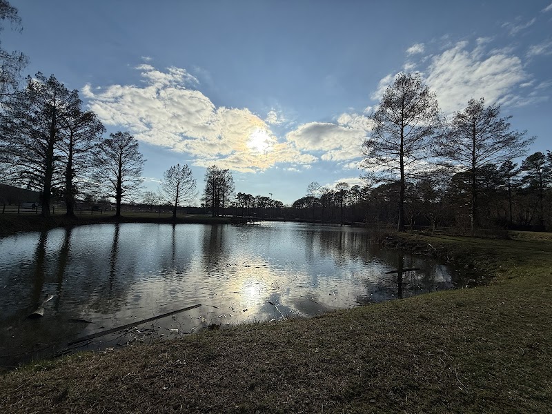 Tucker Road Pond