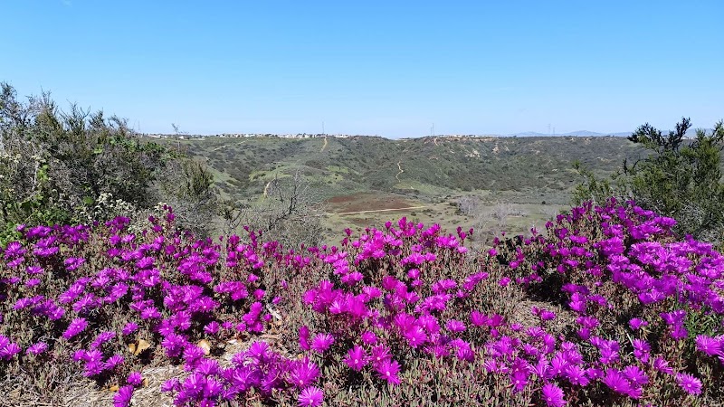 Canyon Overlook Sunset Point
