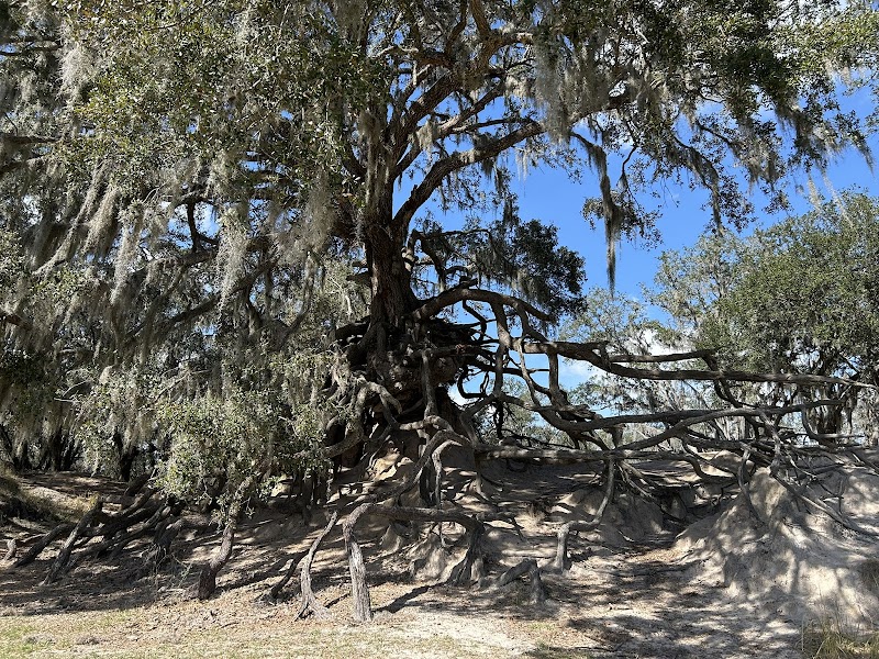 Edward Medard Conservation Park