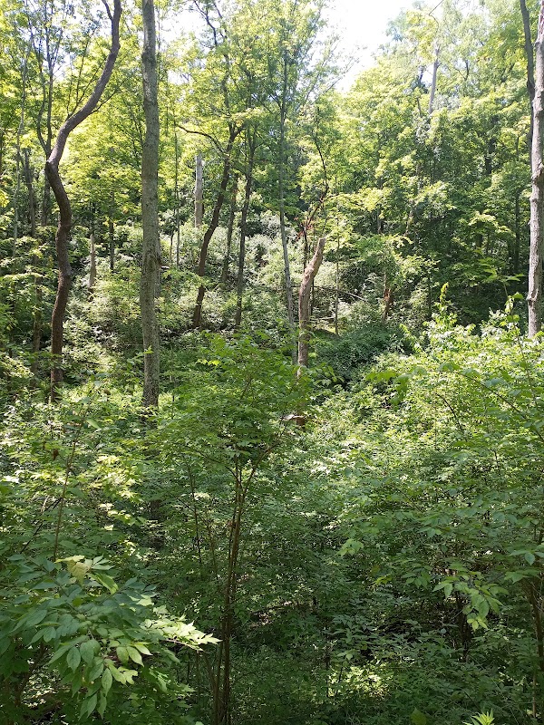 LaBoiteaux Woods Nature Center