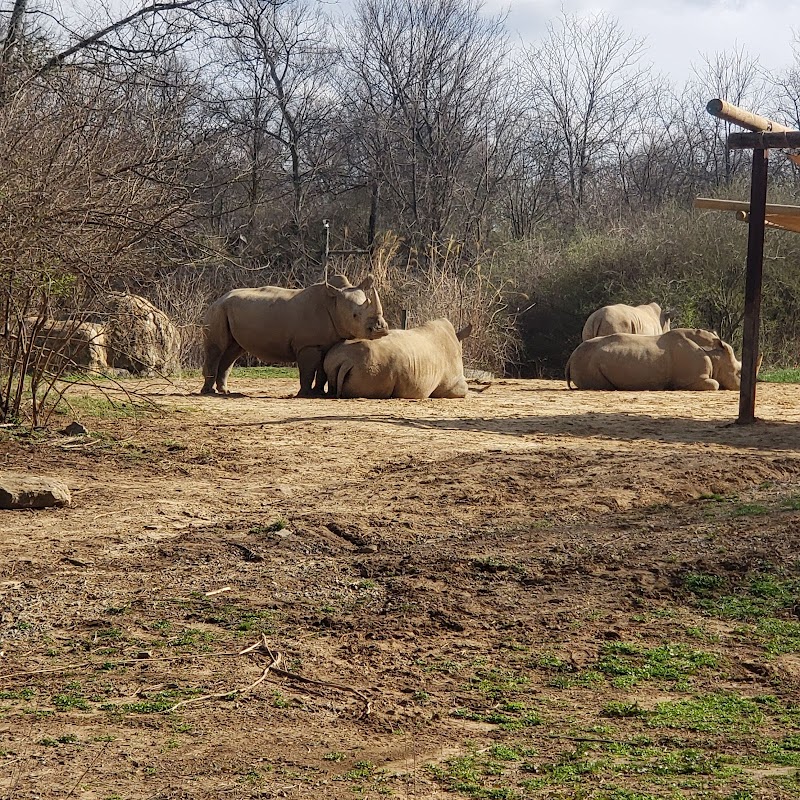 Nashville Zoo Giraffe House