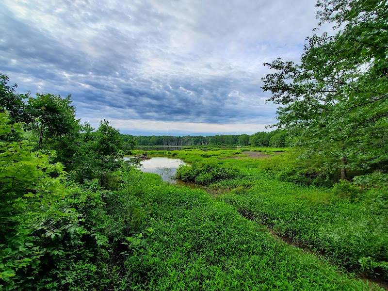 Huntley Meadows Park Area 3
