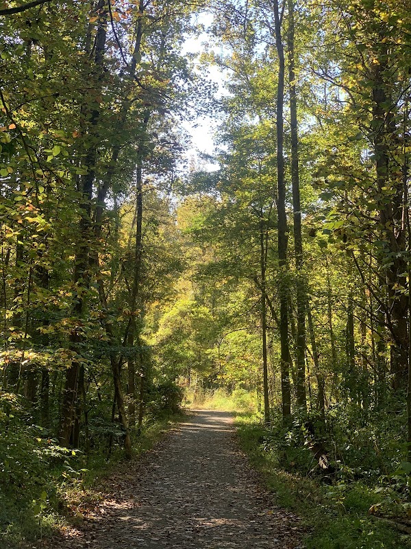 Huntley Meadows Park Area 3