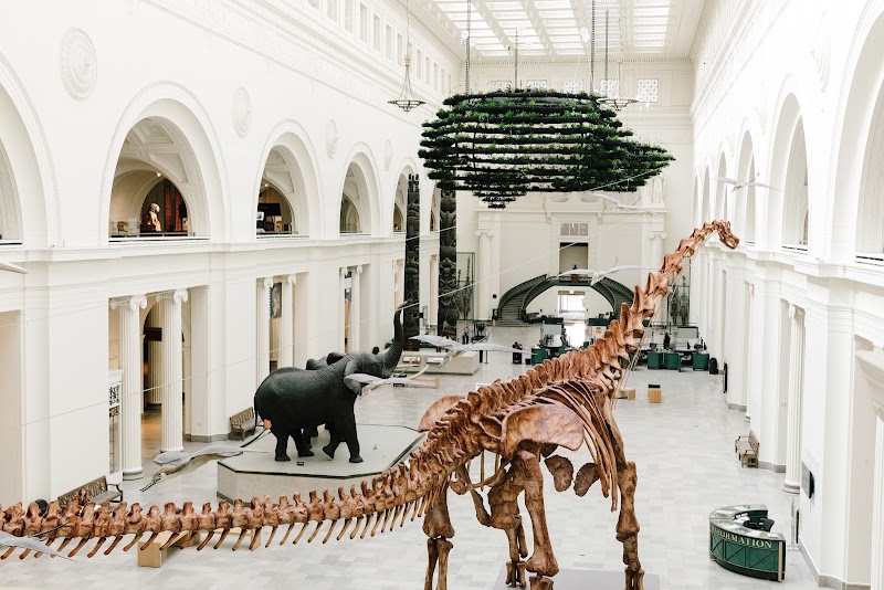 Field Museum
