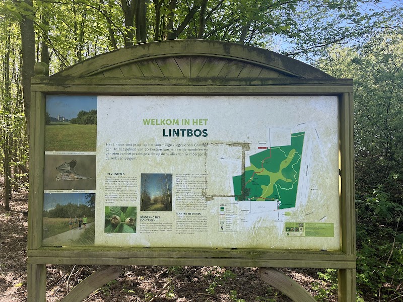 Lintbos