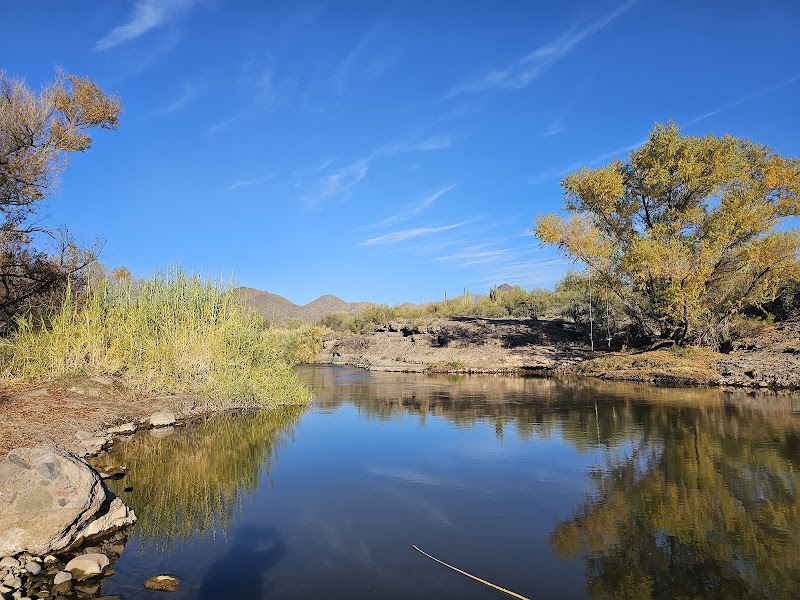 Verde River Rec Site