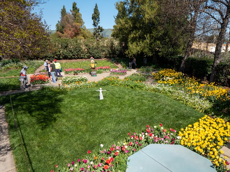 The Bulb Guy Garden Show