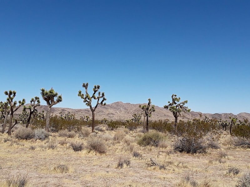 Joshua Tree Gateway (Section 33)