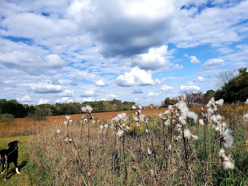 Dark Moon Nature Preserve