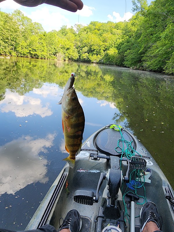 Lake Michie Park and Marina