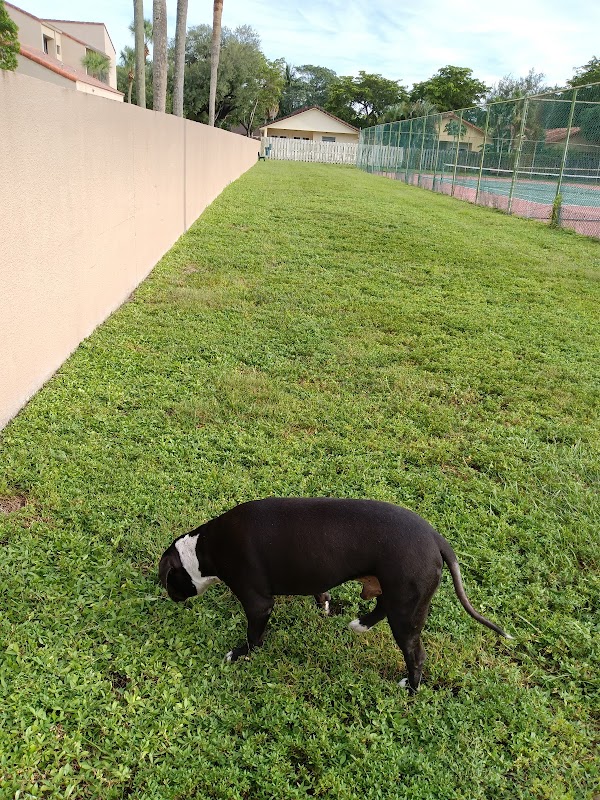 Happy Tappy Dog Park