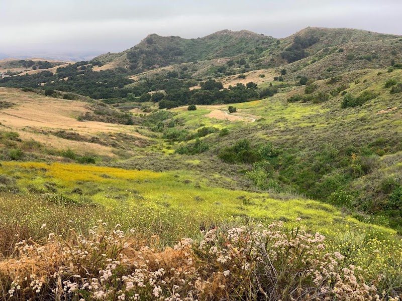 Skink Vista Point - Riley Wilderness