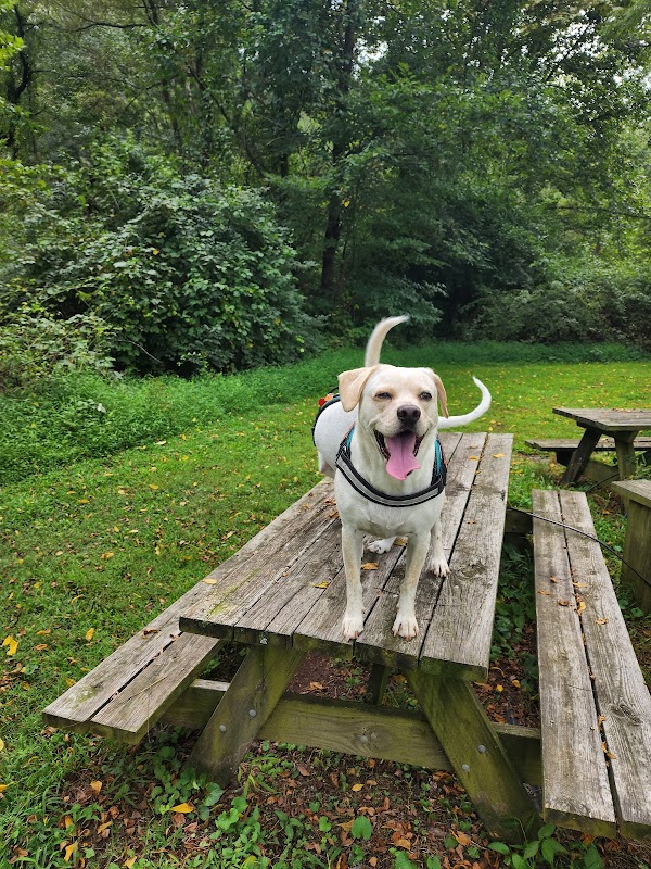 Oxford Area Recreation Dog Park