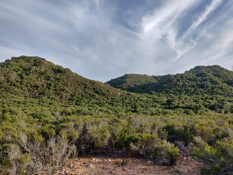 Del Mar Mesa Preserve