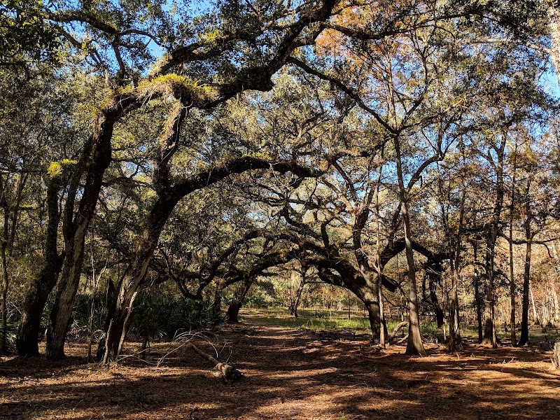 Withlacoochee State Trail