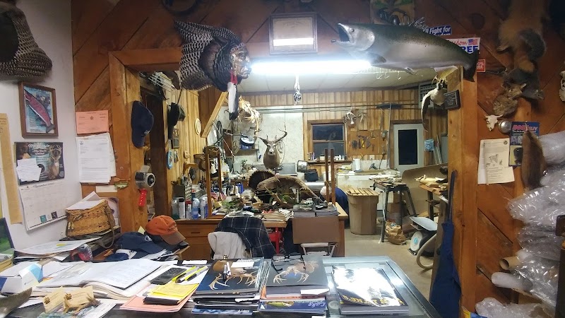 Animal Art Taxidermy