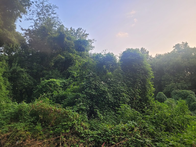 Irwin Creek Greenway