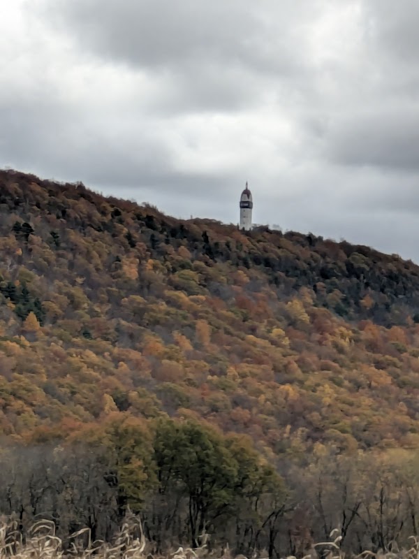 Pinchot Sycamore Area