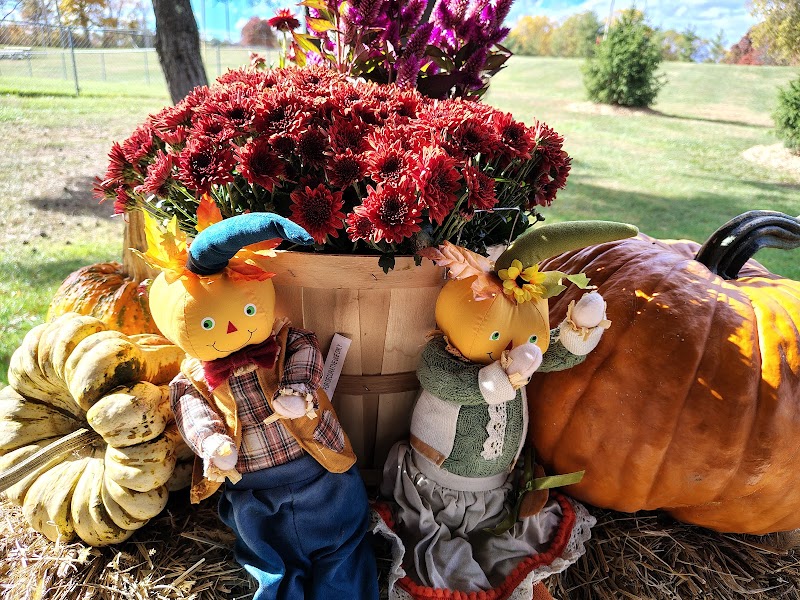 Pickell Mountain Park