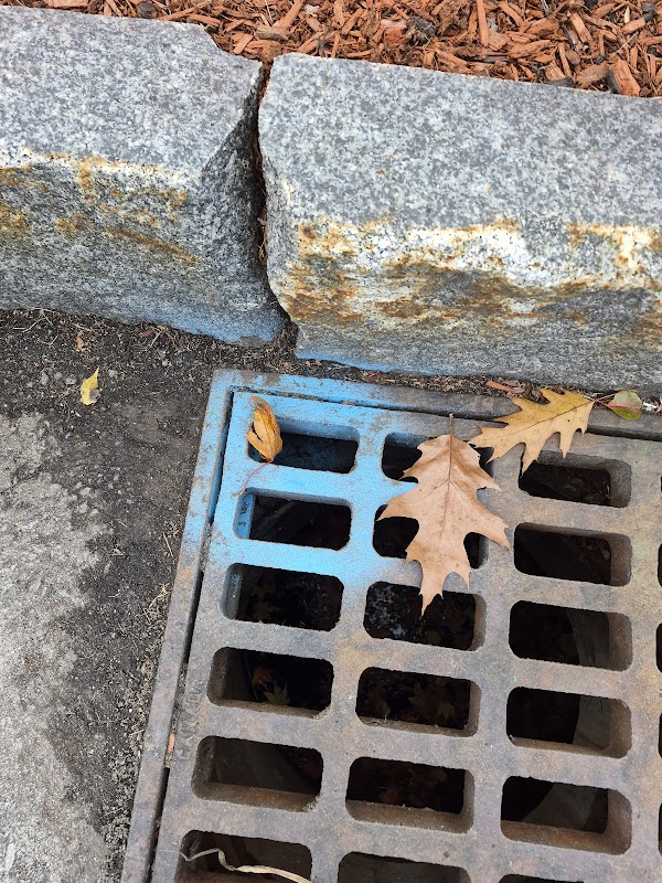 Cranmore Ridge Open Space