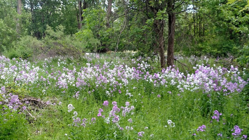West Michigan Trails & Greenways Coalition