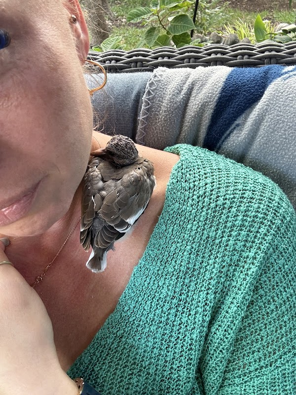 Wildlife Rescue & Rehabilitation, Inc