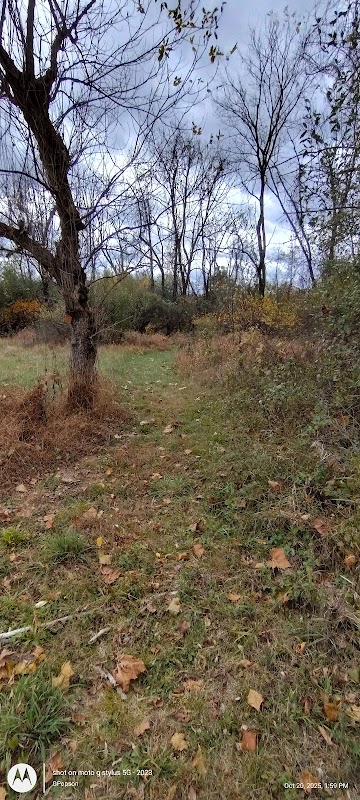 South Branch Reservation