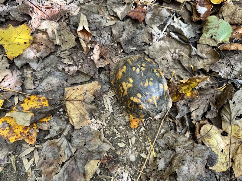 Lahey Lost Valley Park