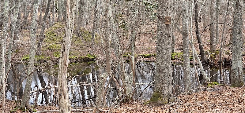 Tuckahoe Woods Preserve